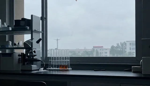 商务考察场景下的选型关注点分析